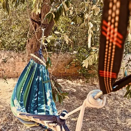 بيت للعطل Delia In Campagna *