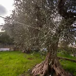 Дом отдыха Delia In Campagna *