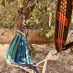 Дом отдыха Delia In Campagna *