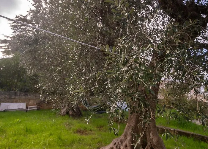 Casa de Férias Delia In Campagna *